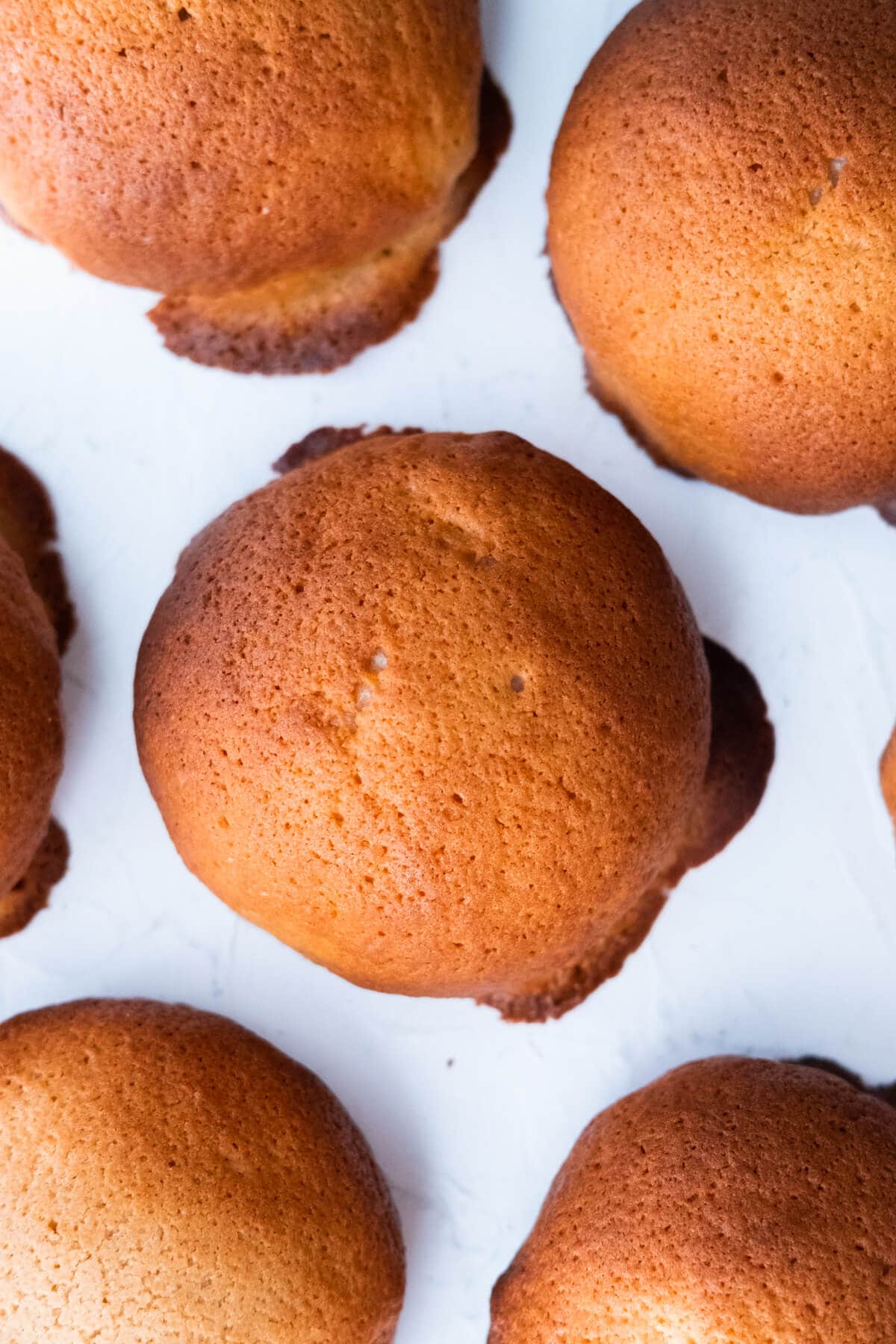 Hot-off-the-oven Rotiboy Mexican coffee bun.