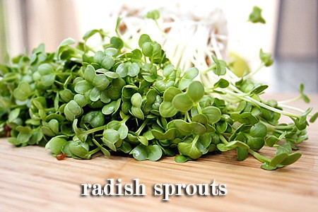 Radish Sprouts, that are used in this soft shell crab recipe made with panko crumbs and ginger ponzu sauce